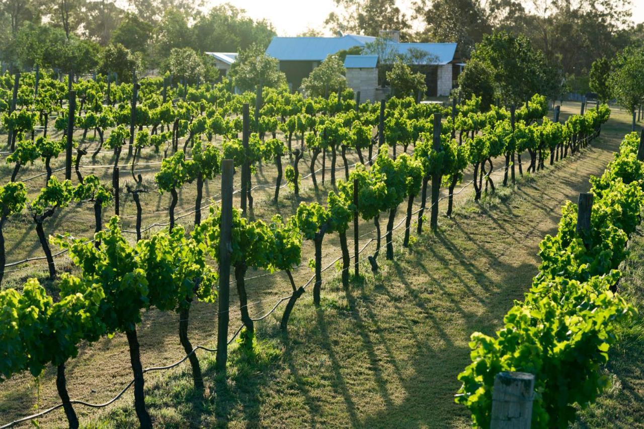 Thistle Hill Guesthouse - Walk To Many Wineries And Restaurants Pokolbin Ngoại thất bức ảnh