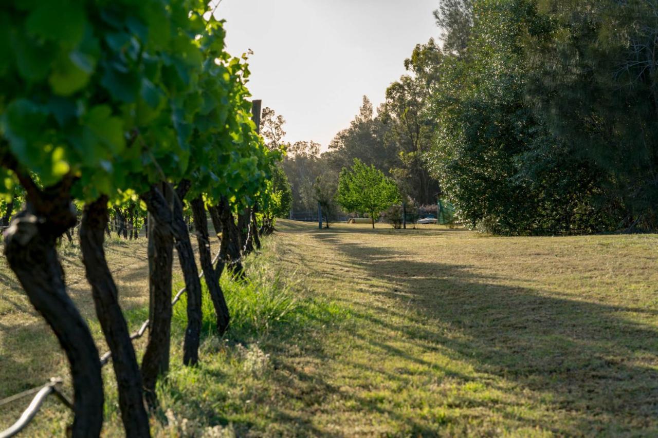 Thistle Hill Guesthouse - Walk To Many Wineries And Restaurants Pokolbin Ngoại thất bức ảnh
